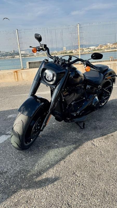 Harley Davidson Fat Boy - Photo 5