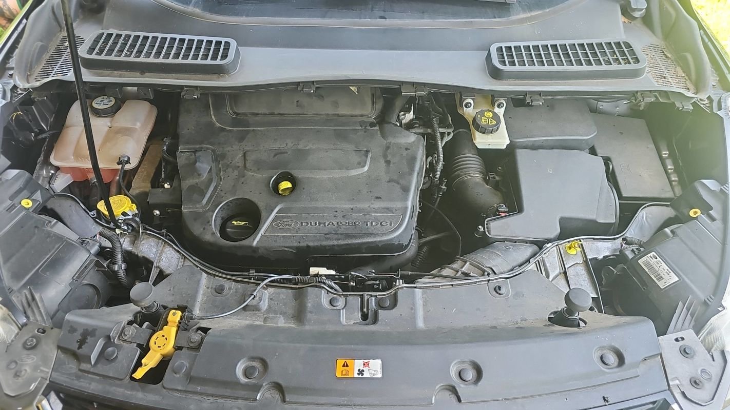 Ford Kuga - Photo 15