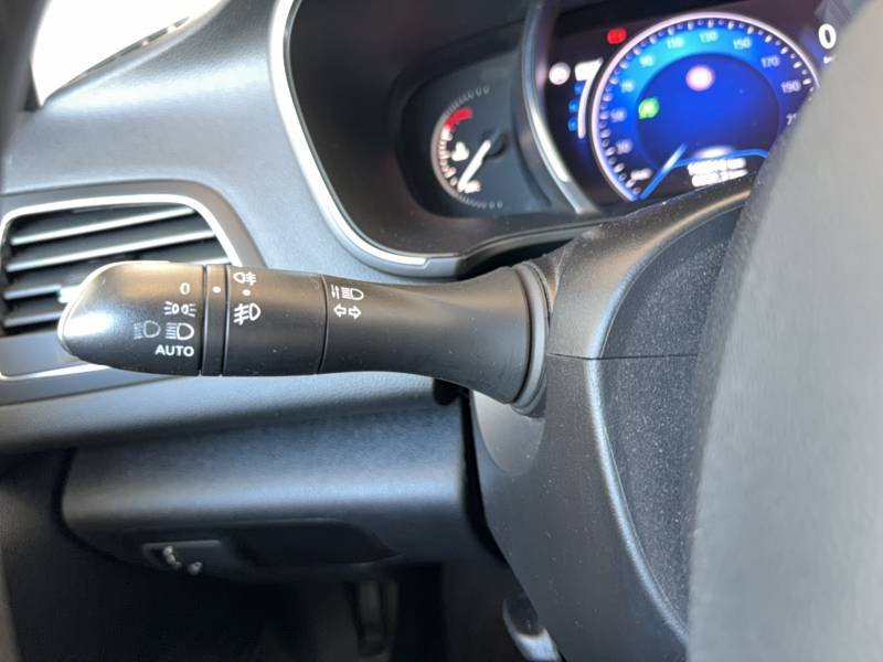 Renault Mégane - Photo 30