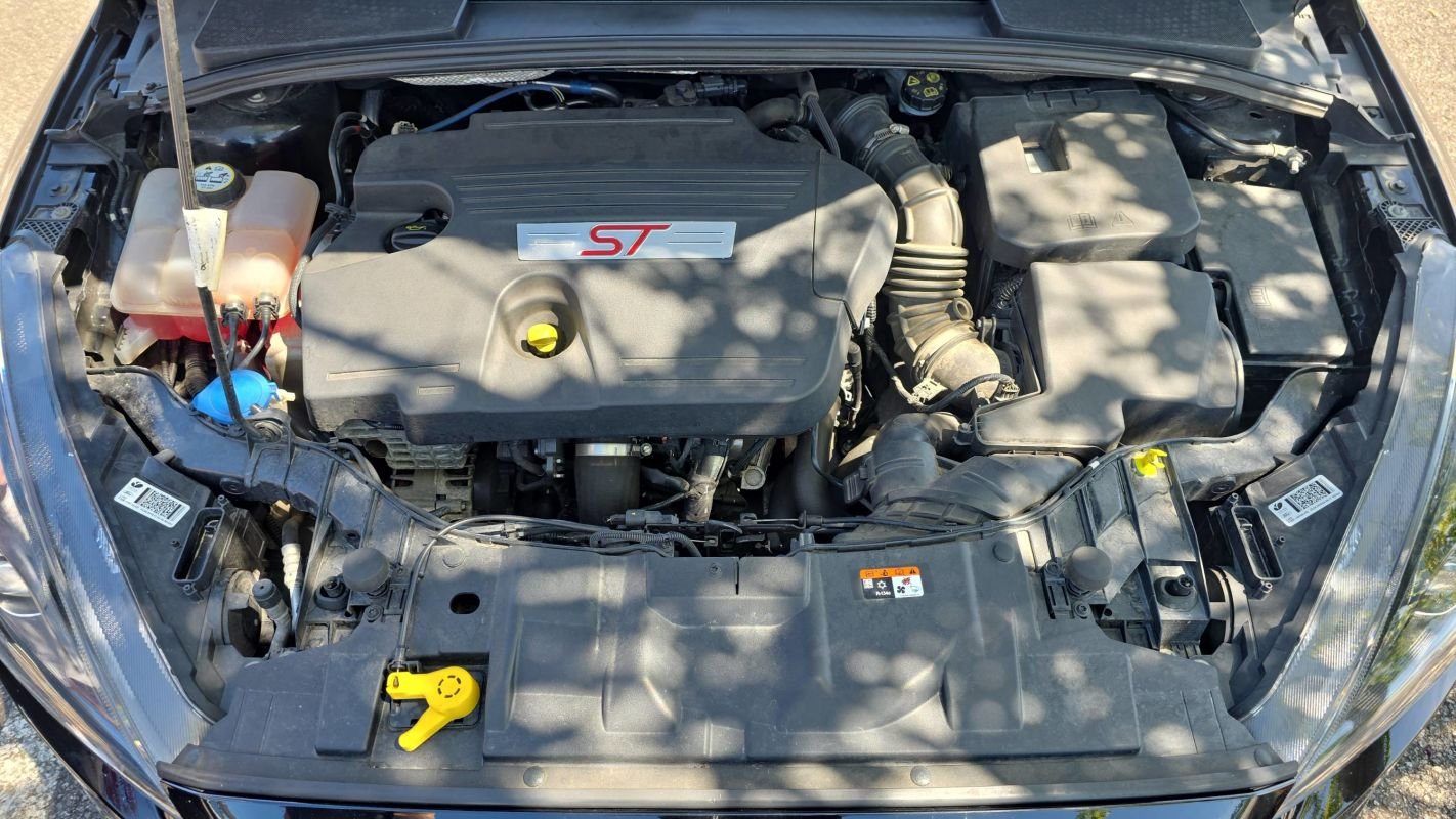Ford Focus - Photo 15