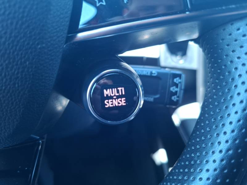 Renault Mégane - Photo 15