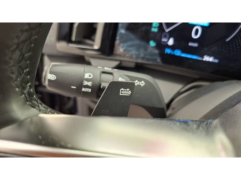 Renault Mégane - Photo 23
