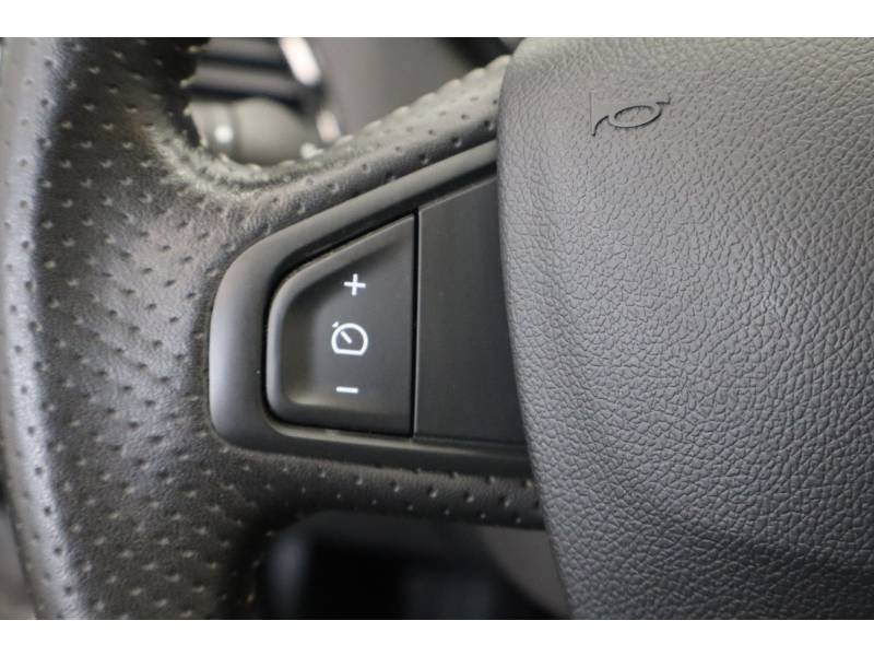 Renault Mégane - Photo 33