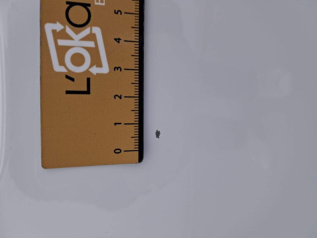 Volkswagen Polo - Photo 30
