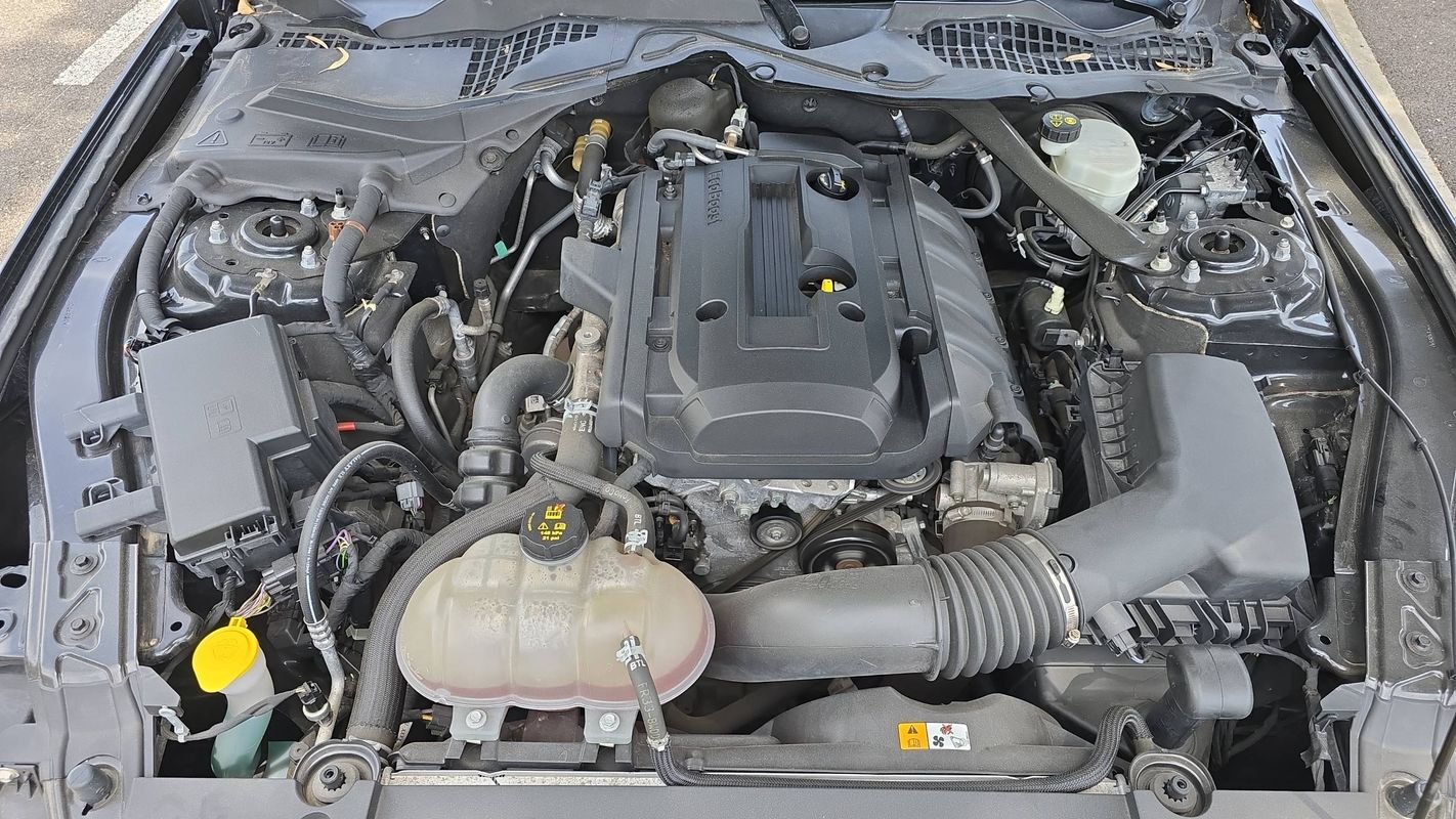 Ford Mustang - Photo 15