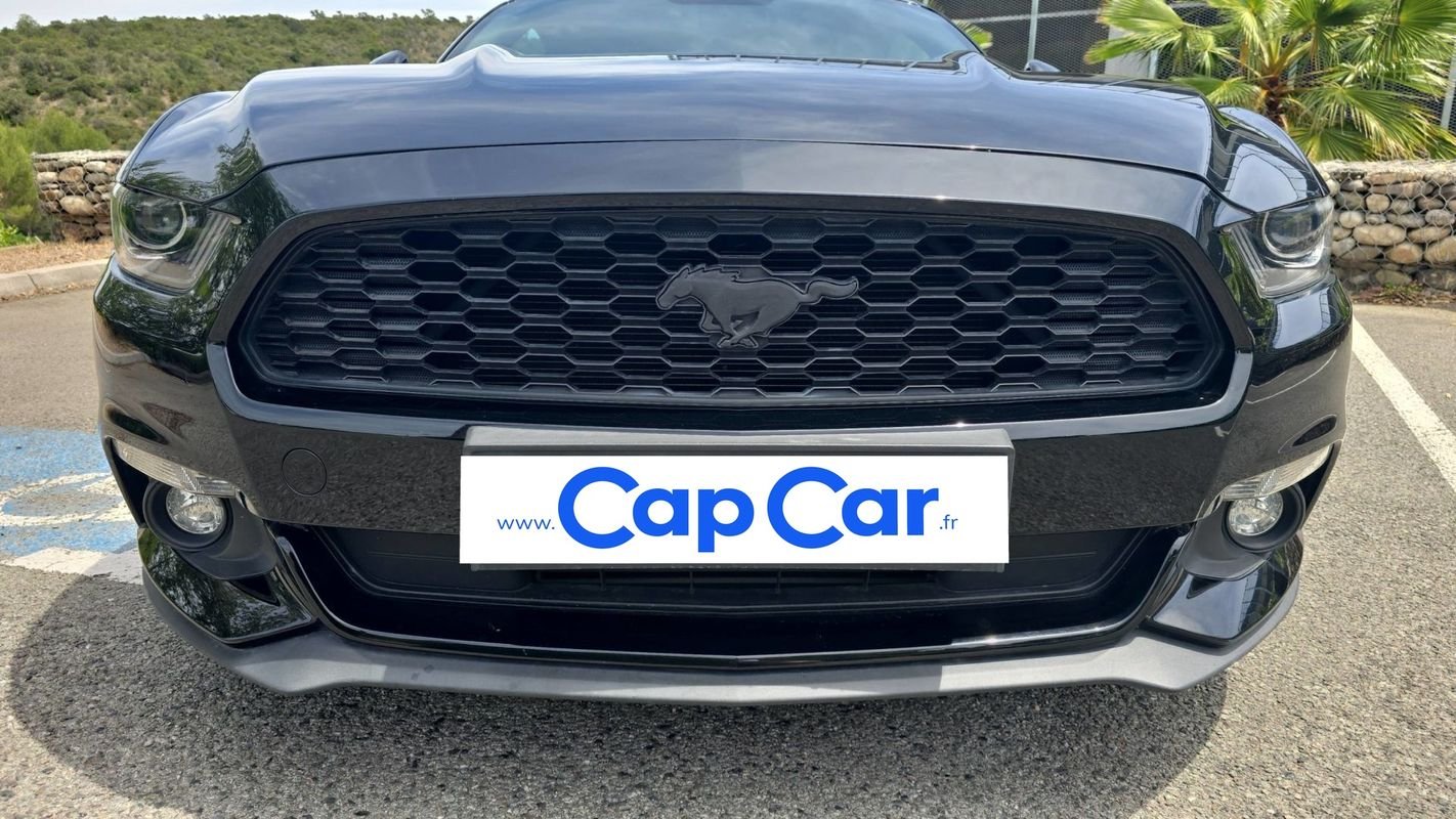Ford Mustang - Photo 20