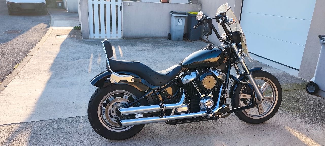 Harley Davidson Harley Davidson SOFTAIL STANDARD 1745 - Photo 3