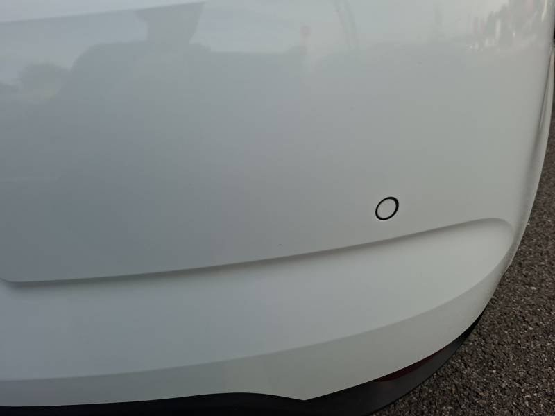 Renault Mégane - Photo 22