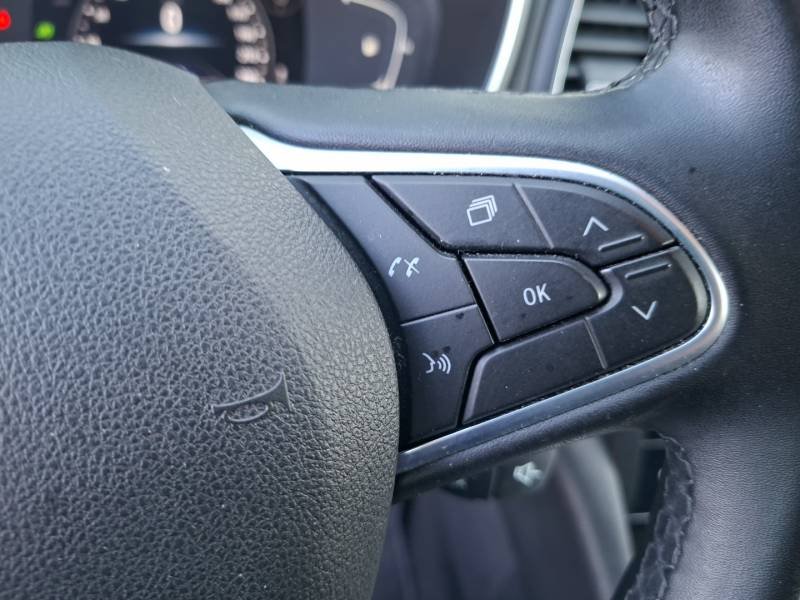 Renault Mégane - Photo 35