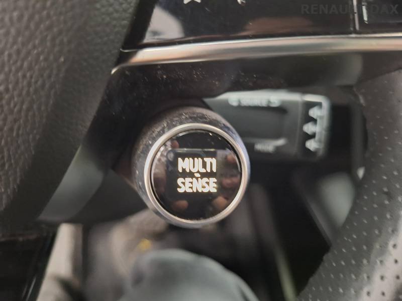 Renault Mégane - Photo 42