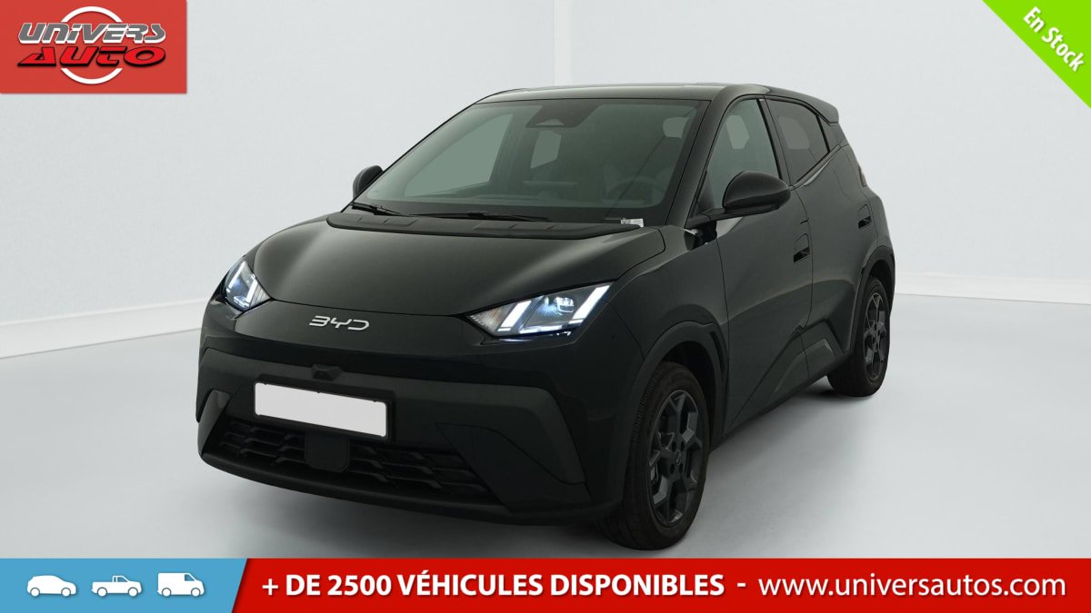 BYD Dolphin - Photo 6