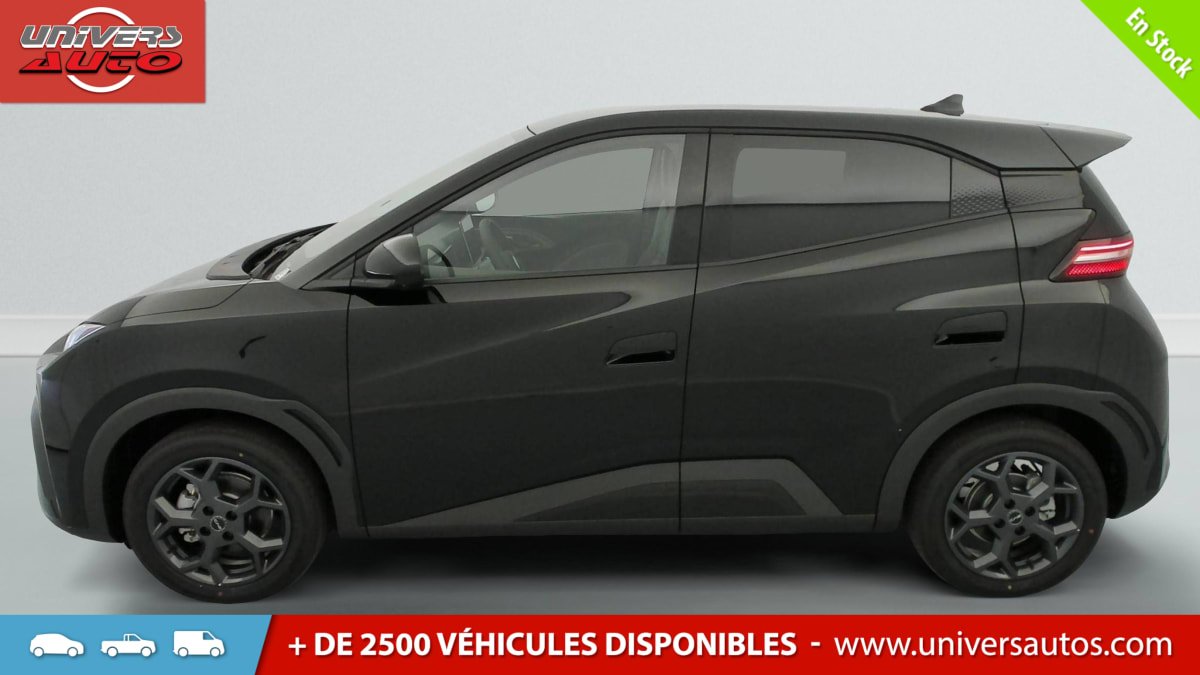 BYD Dolphin - Photo 8