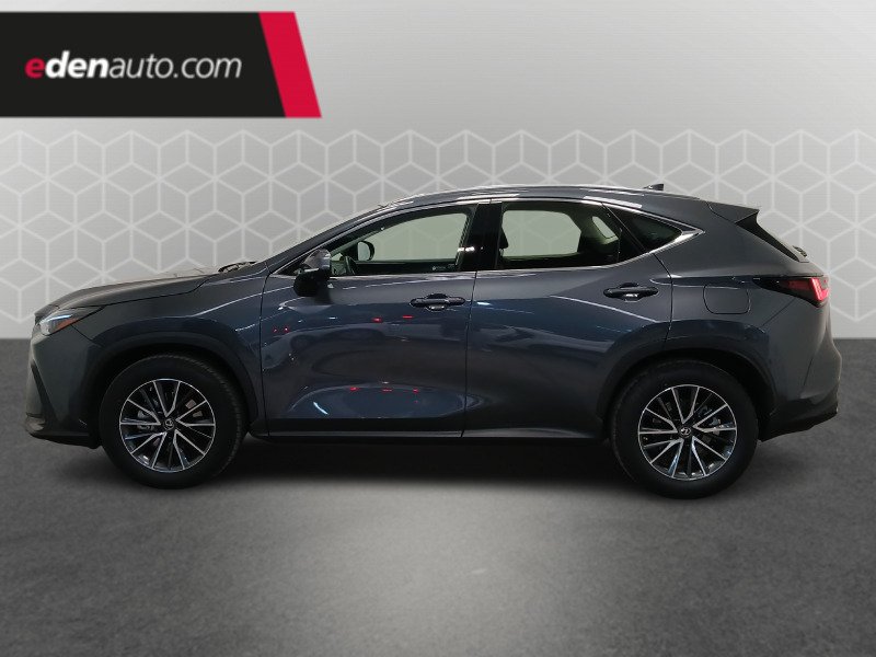 Lexus NX - Photo 2