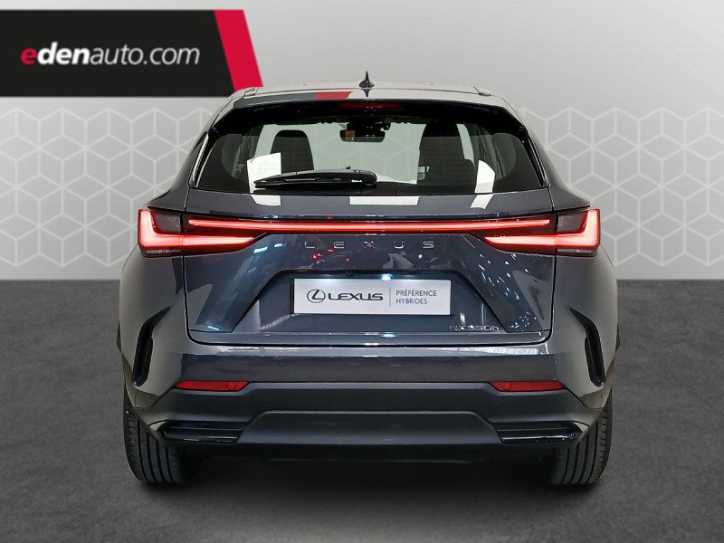 Lexus NX - Photo 4