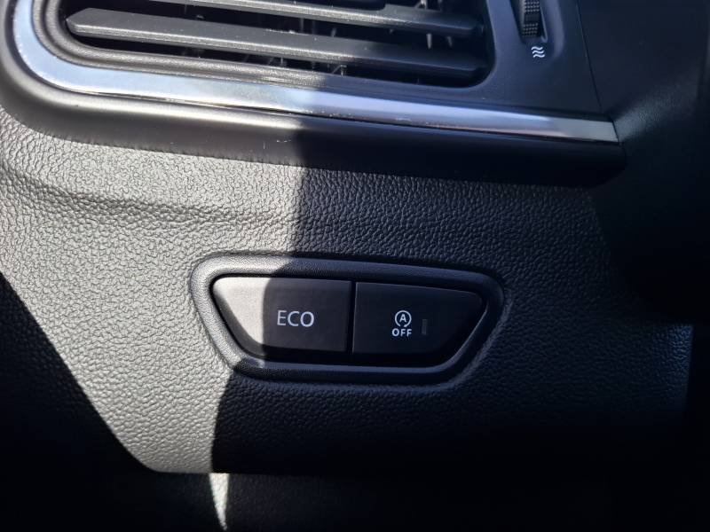 Renault Kadjar - Photo 31