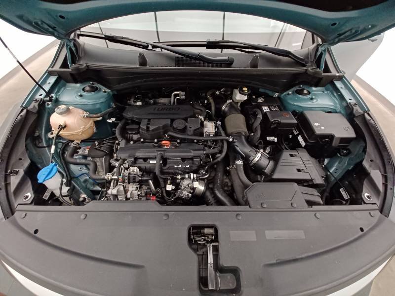 Kia Sportage - Photo 11