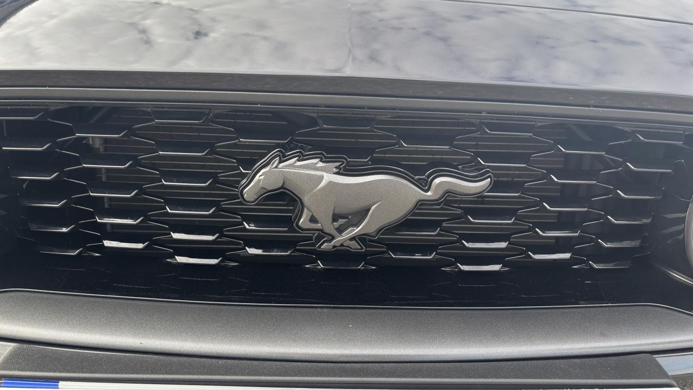 Ford Mustang - Photo 4