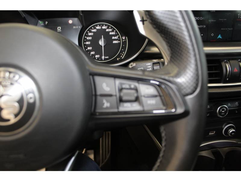 Alfa Romeo Stelvio - Photo 38