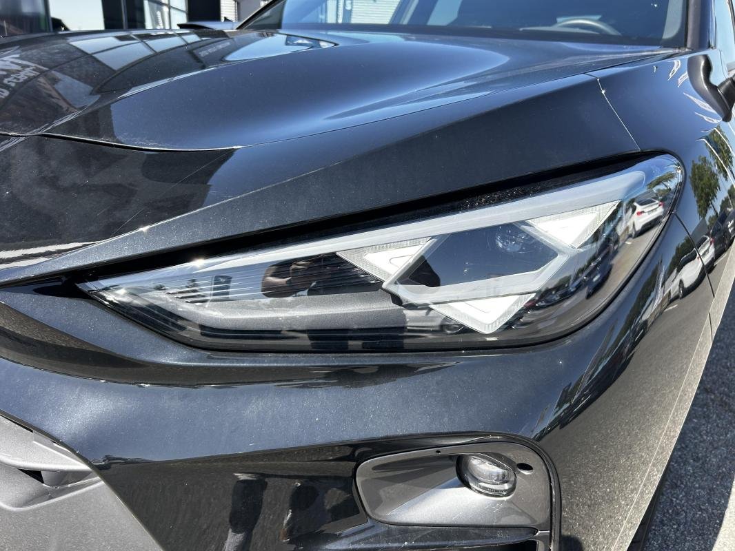 Cupra Terramar - Photo 4