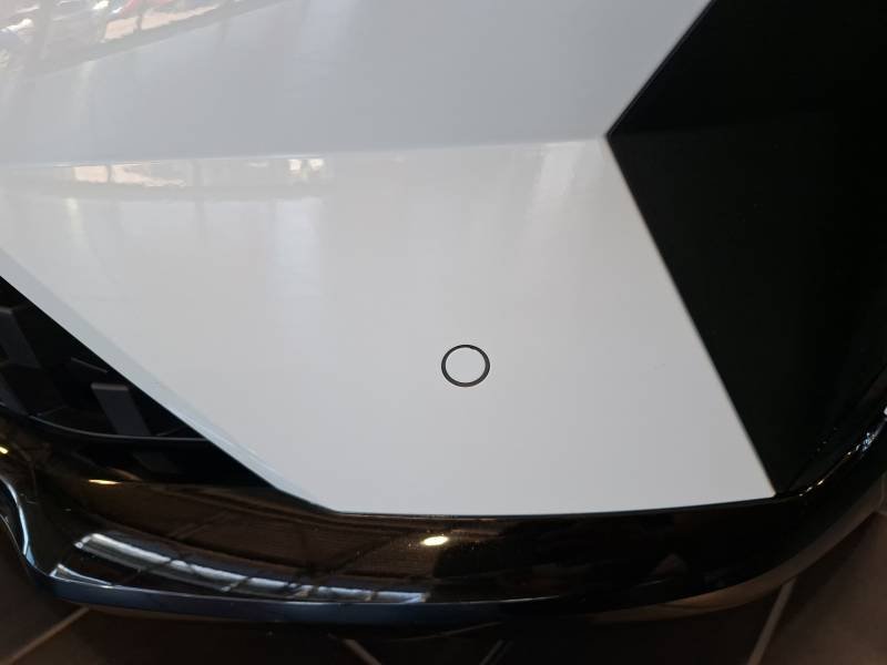 Renault Mégane - Photo 46