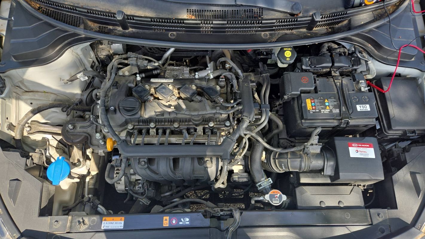 Kia Rio - Photo 15