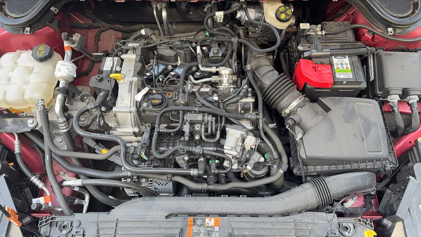 Ford Focus - Photo 15