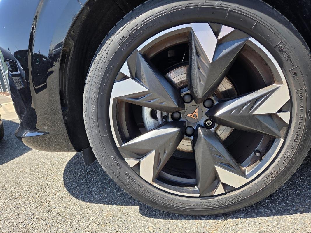 Cupra Terramar - Photo 5