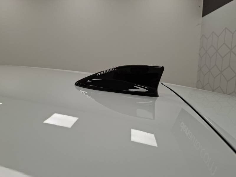 Renault Mégane - Photo 25
