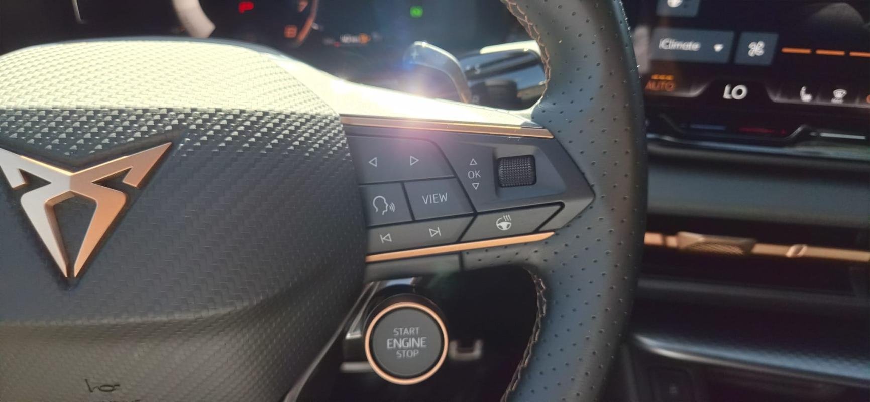 Cupra Terramar - Photo 18