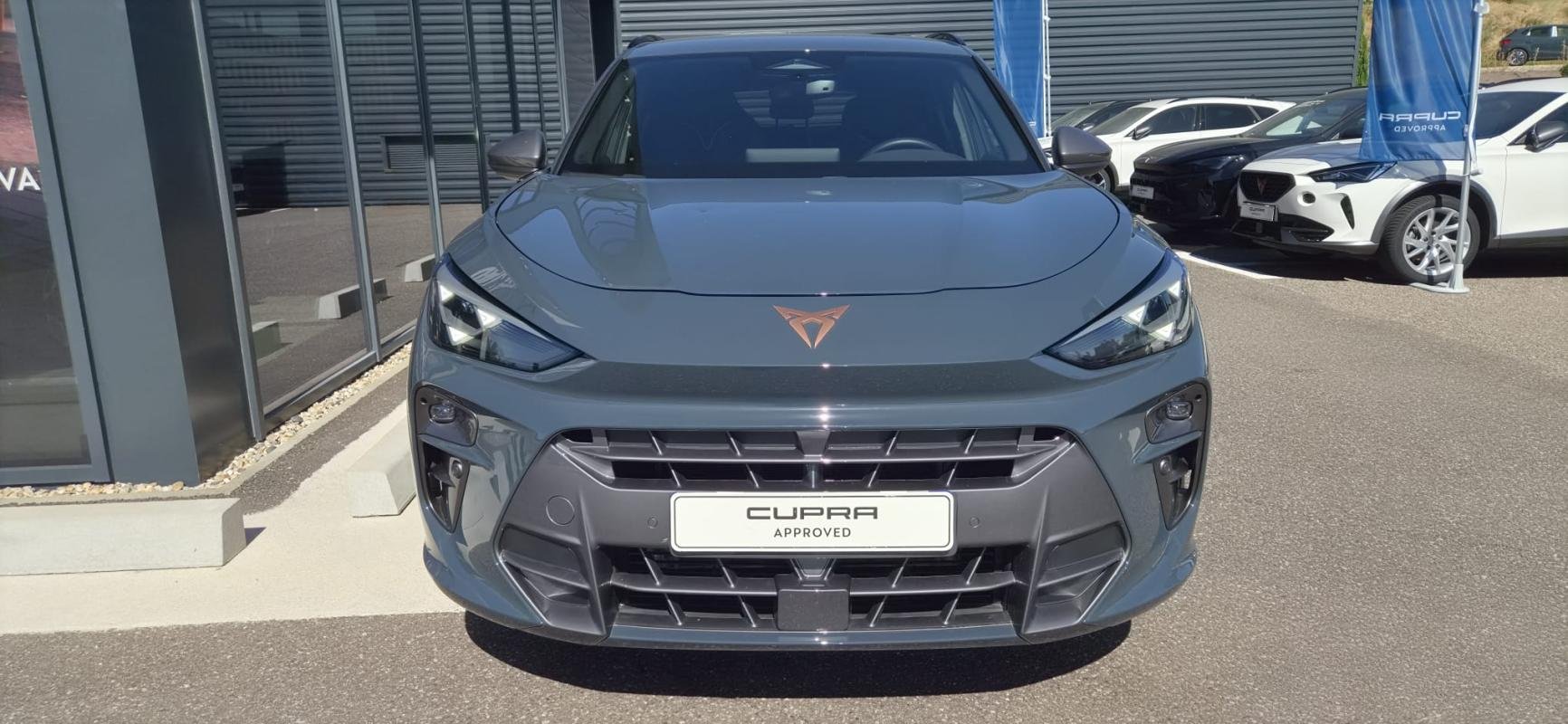 Cupra Terramar - Photo 8