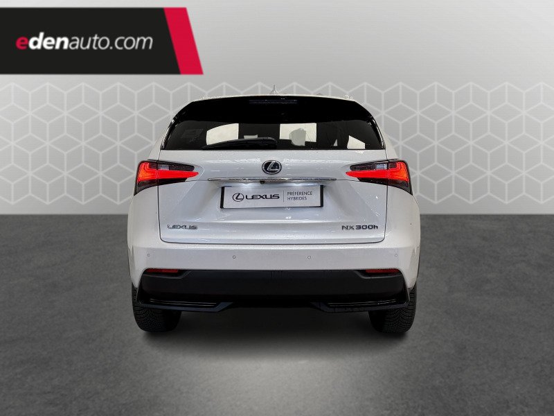 Lexus NX - Photo 4