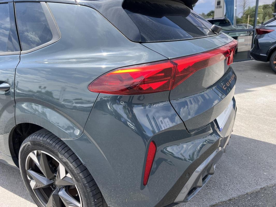 Cupra Terramar - Photo 5