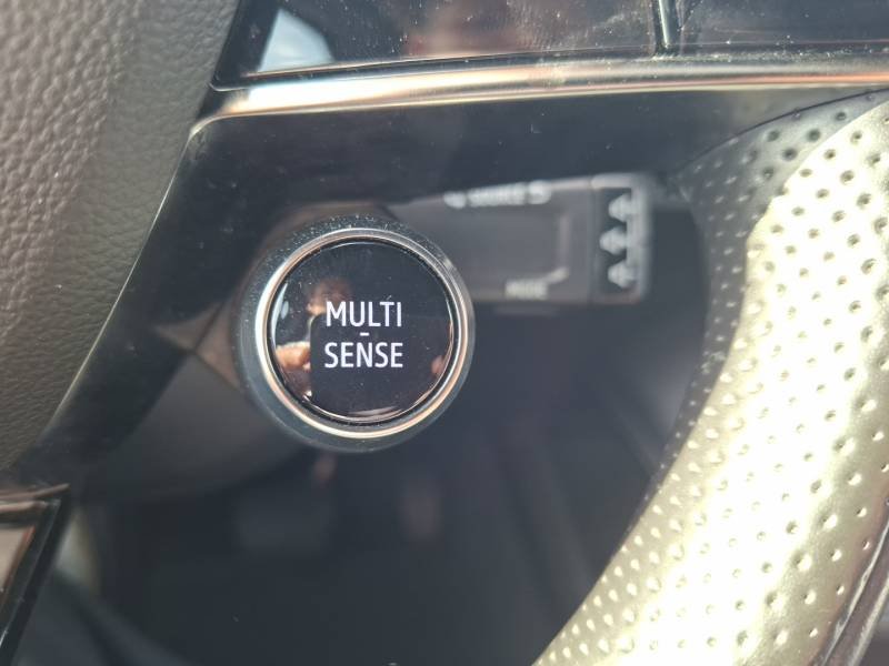 Renault Mégane - Photo 16