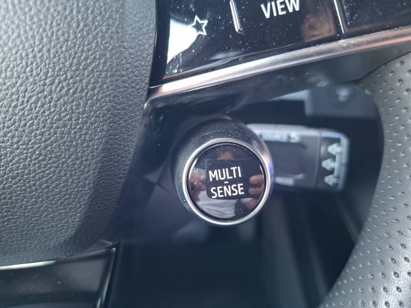 Renault Mégane - Photo 22
