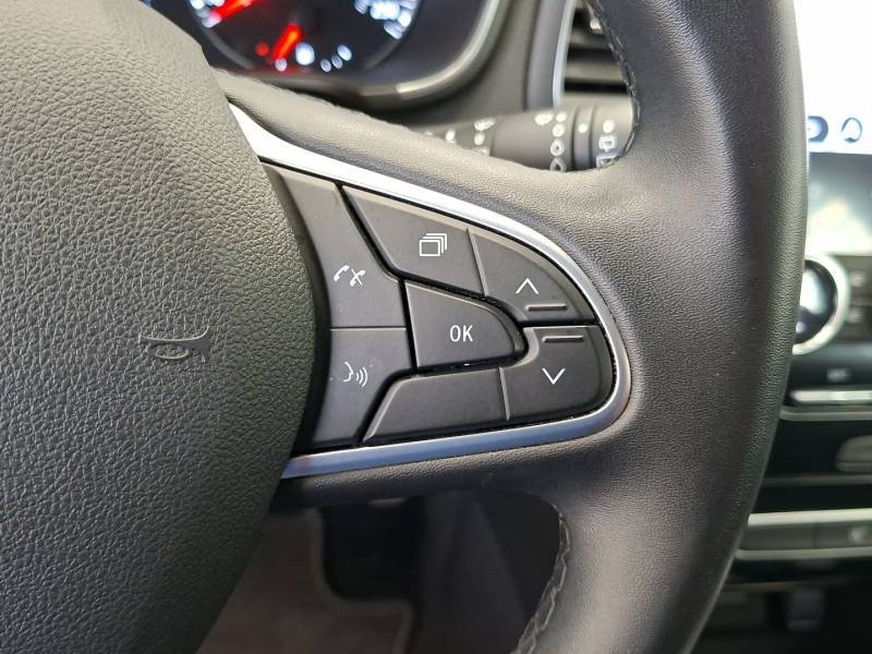 Renault Mégane - Photo 33