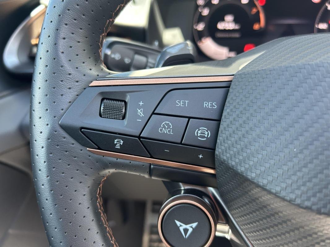 Cupra Terramar - Photo 18