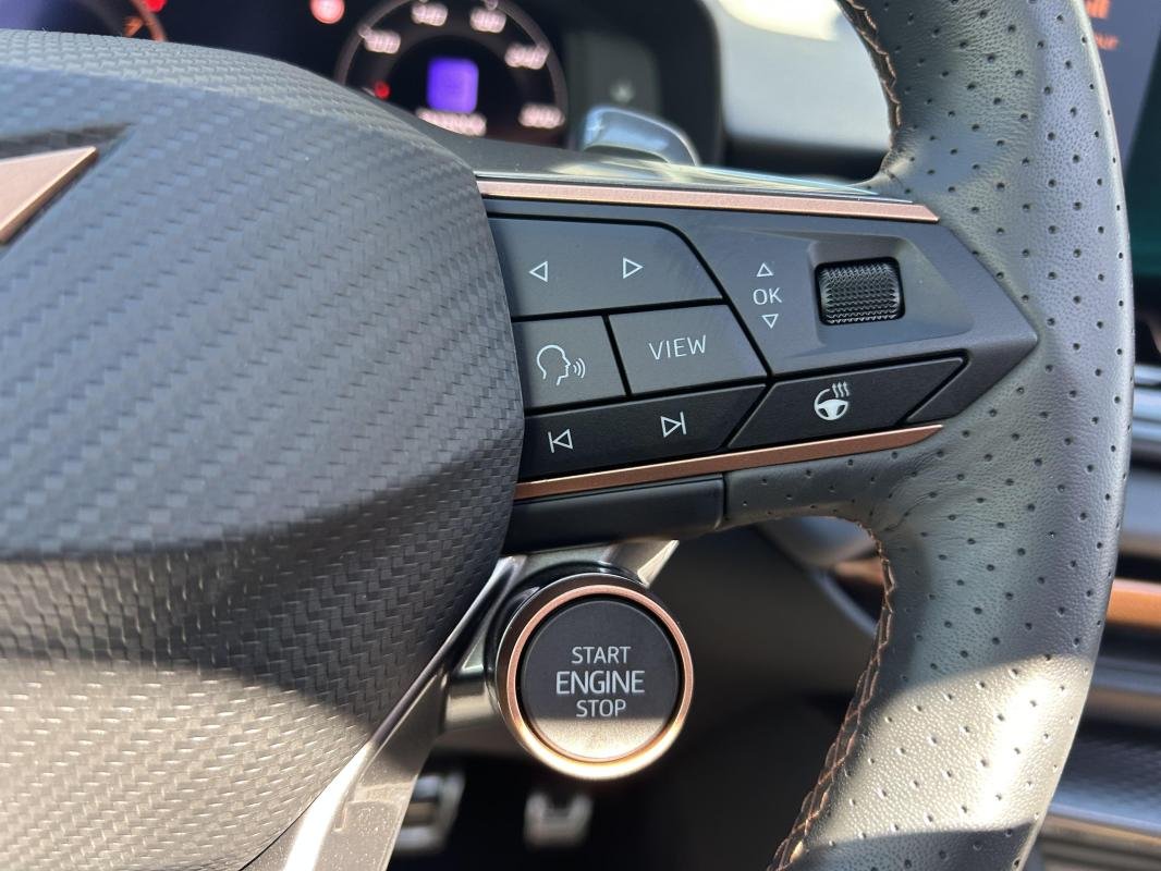 Cupra Terramar - Photo 19