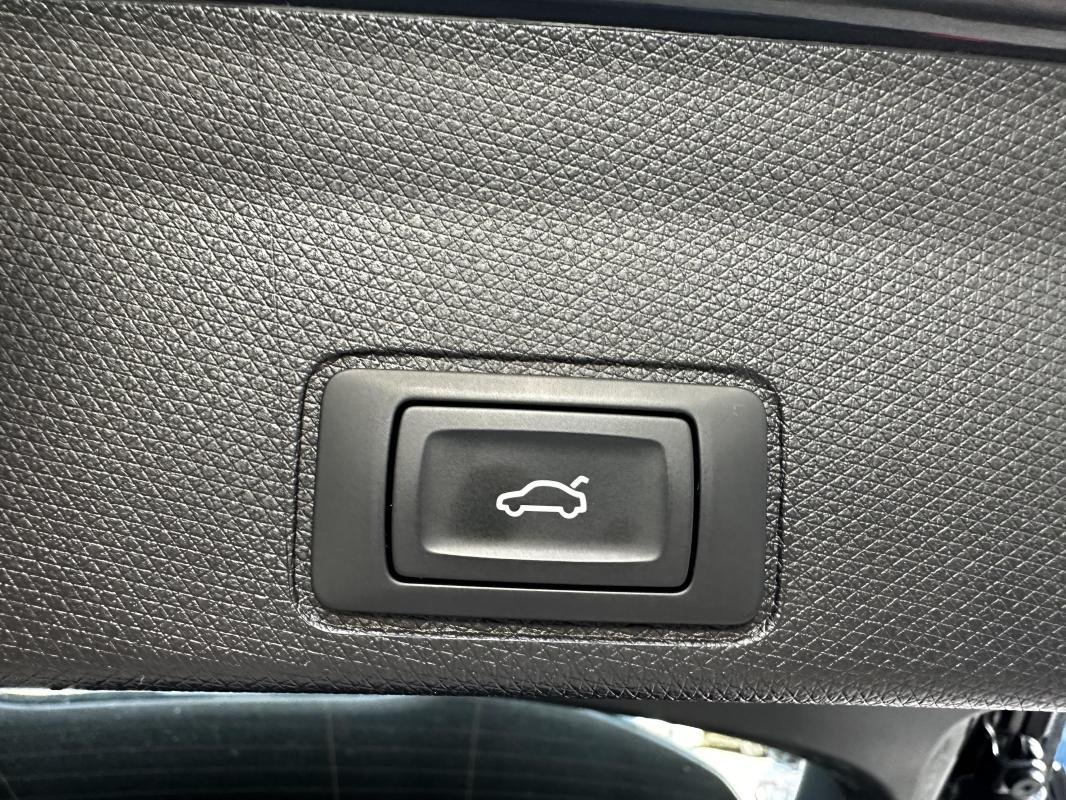 Cupra Terramar - Photo 11