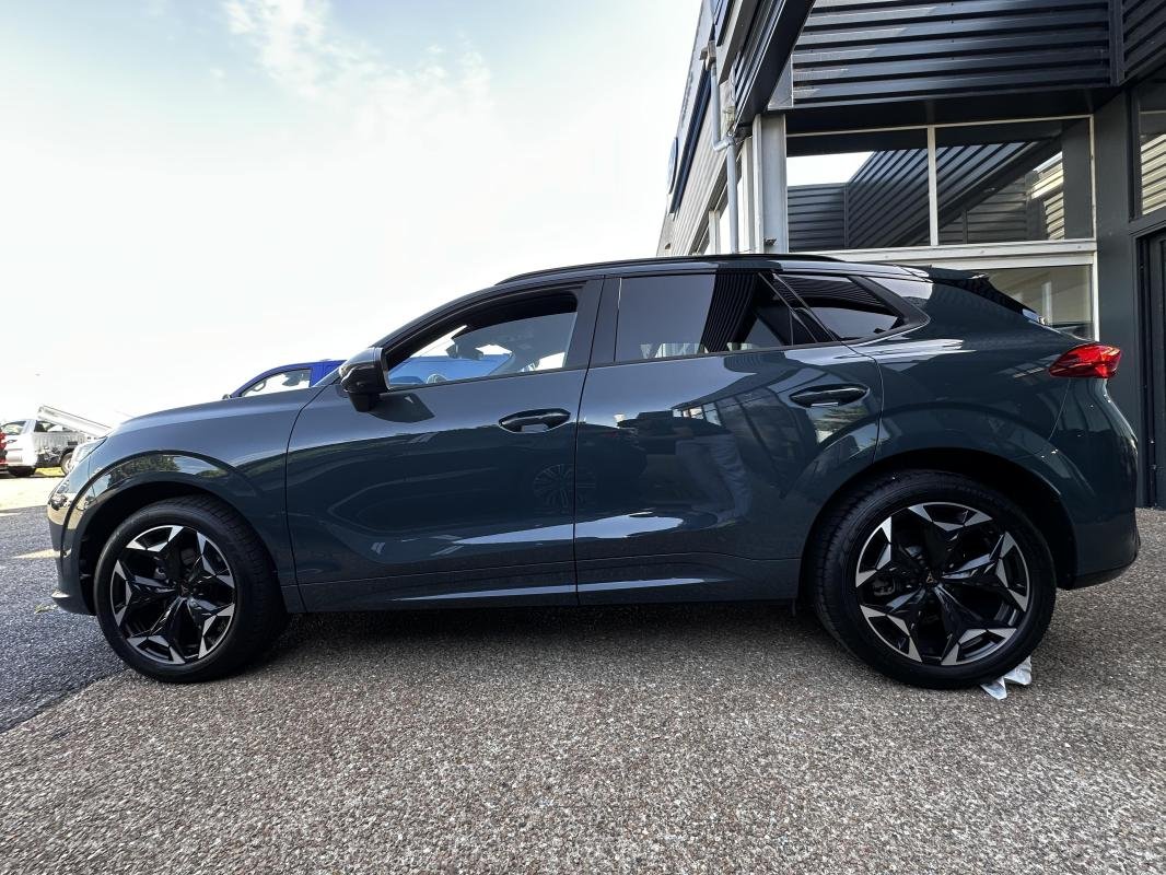 Cupra Terramar - Photo 4