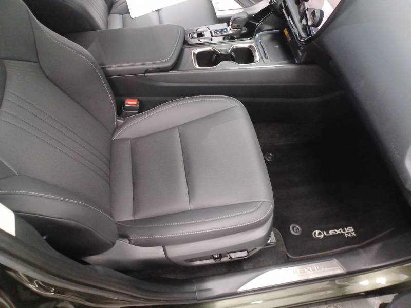 Lexus NX - Photo 12