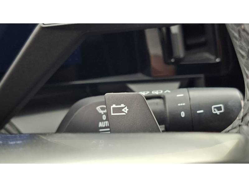 Renault Mégane - Photo 25