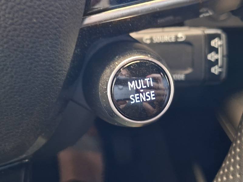 Renault Mégane - Photo 41