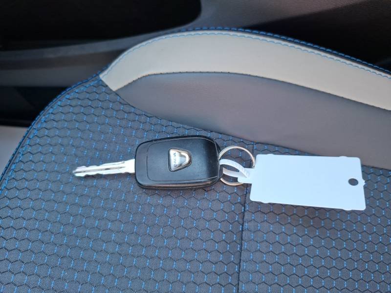 Dacia Spring - Photo 40