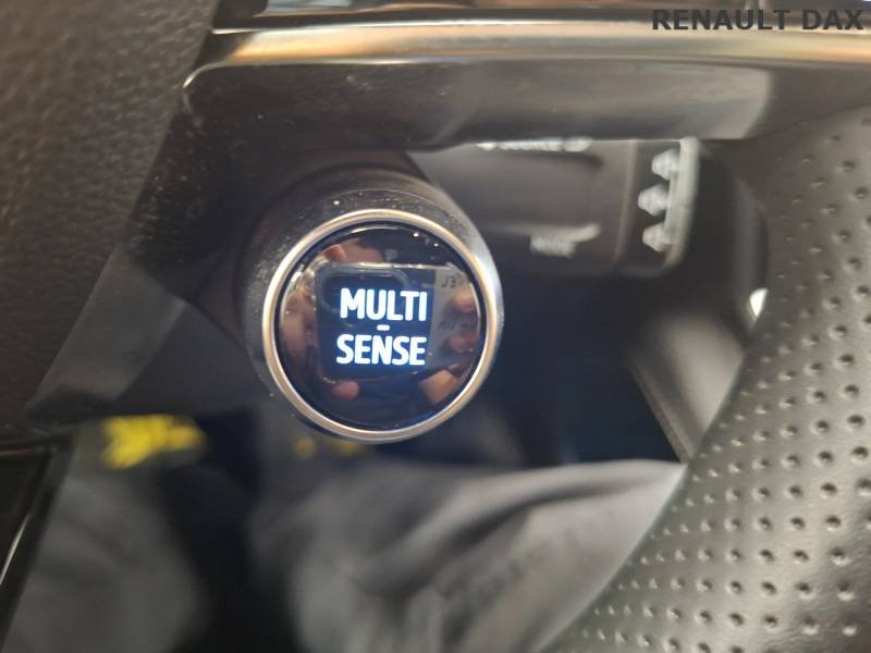 Renault Mégane - Photo 41