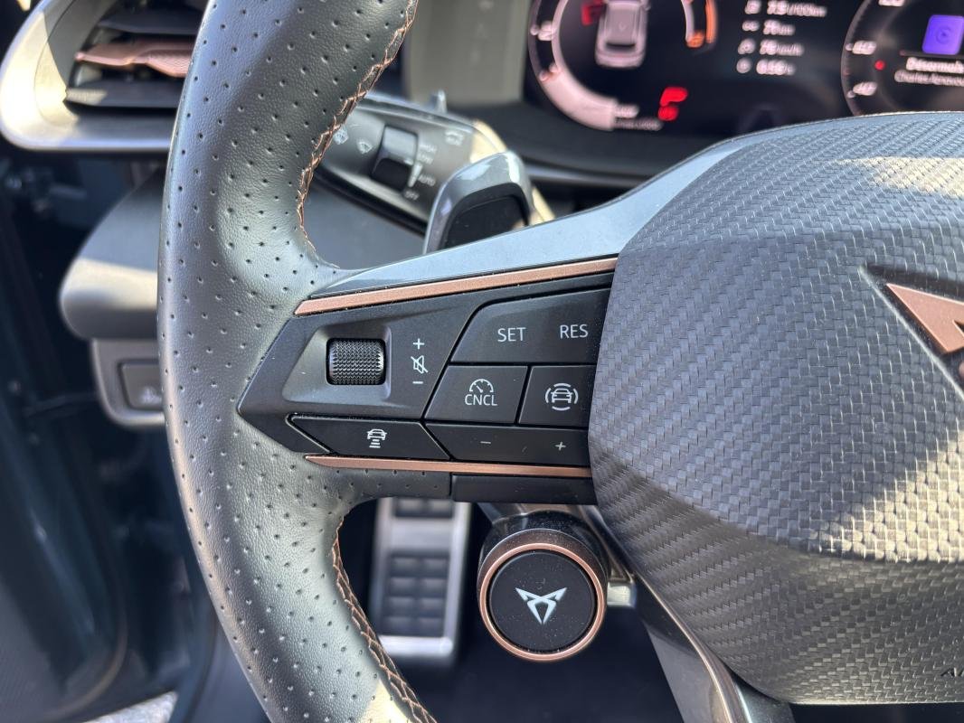 Cupra Terramar - Photo 12