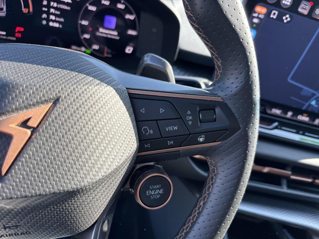 Cupra Terramar - Photo 13