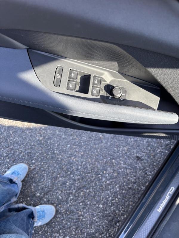 Cupra Terramar - Photo 10