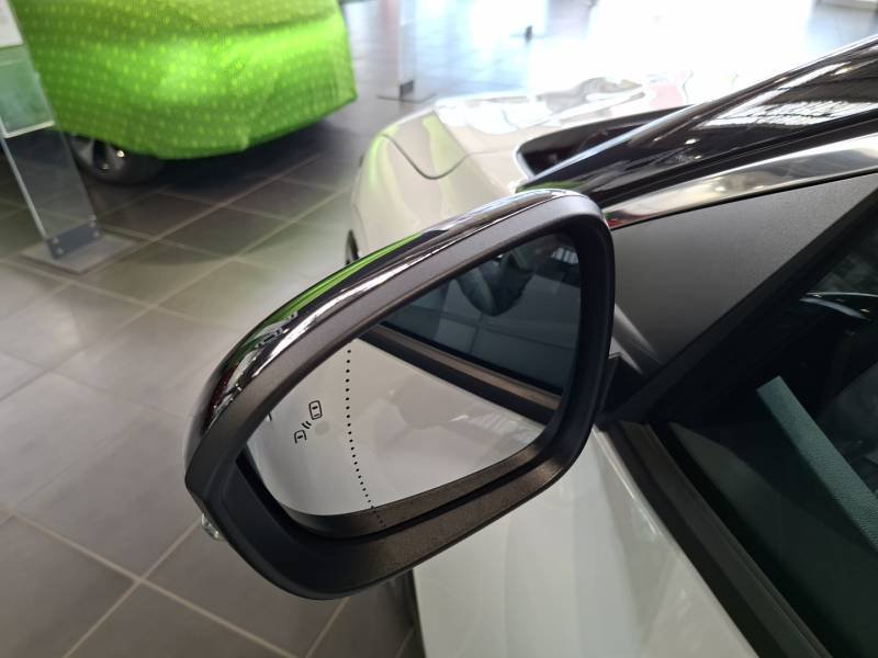 Renault Mégane - Photo 43