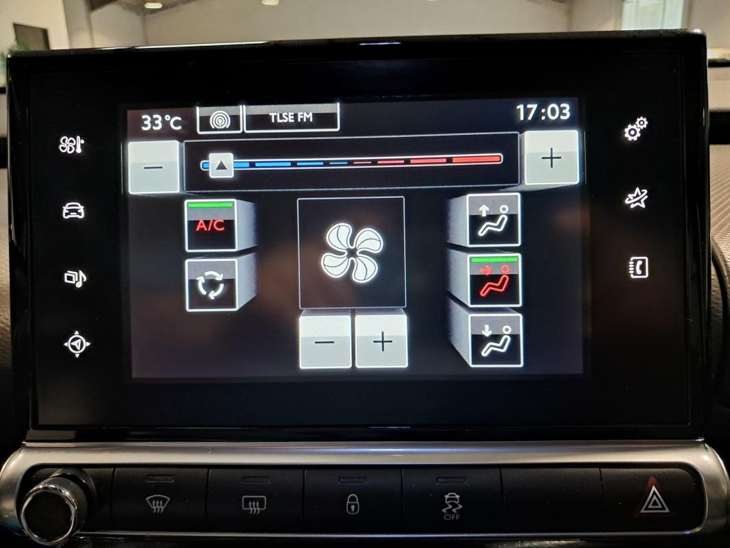 Citroën C4 Cactus - Photo 11