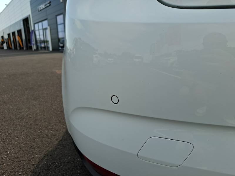 Renault Mégane - Photo 21